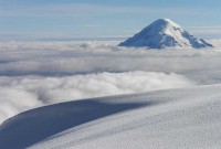 /album/fotogaleria-inicio/wee-30-jpg2/